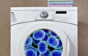 Washing Machine Bacteria
