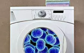 bacteria in washing machine 