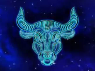 Facts About Taurus