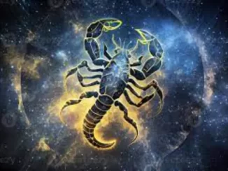 Facts About Scorpio