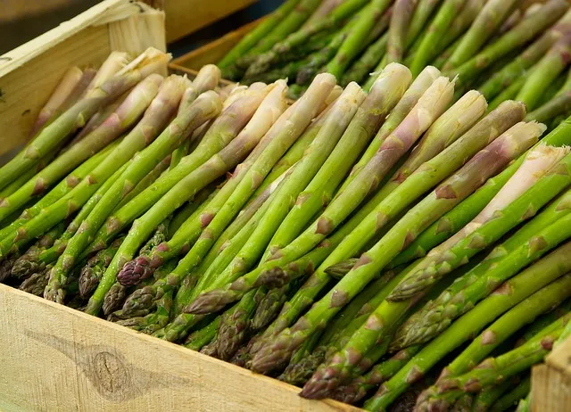 Facts About Asparagus