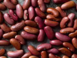Fun Facts About Beans