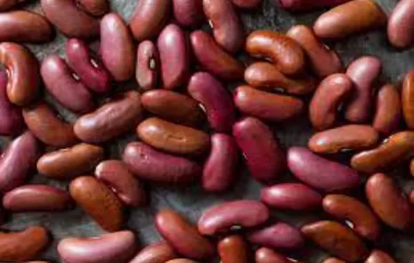 Fun Facts About Beans