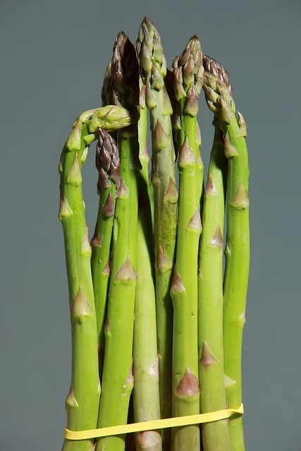 interesting facts about asparagus