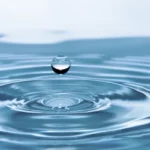 Fun Facts About Water