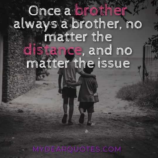 heart touching quotes for brother from another mother