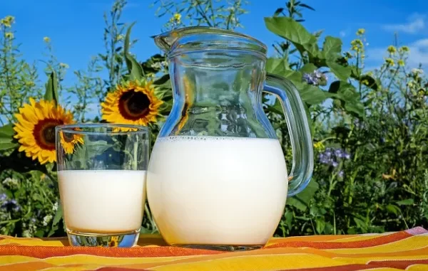 Fun Facts About Dairy