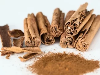 Fun Facts About Cinnamon