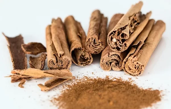 Fun Facts About Cinnamon