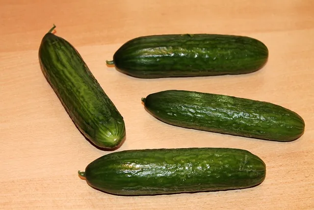 information about cucumbers