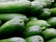 Fun Facts About Cucumbers