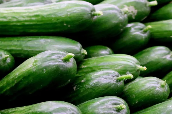 Cucumbers facts