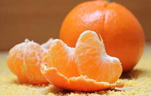 Fun Facts About Oranges