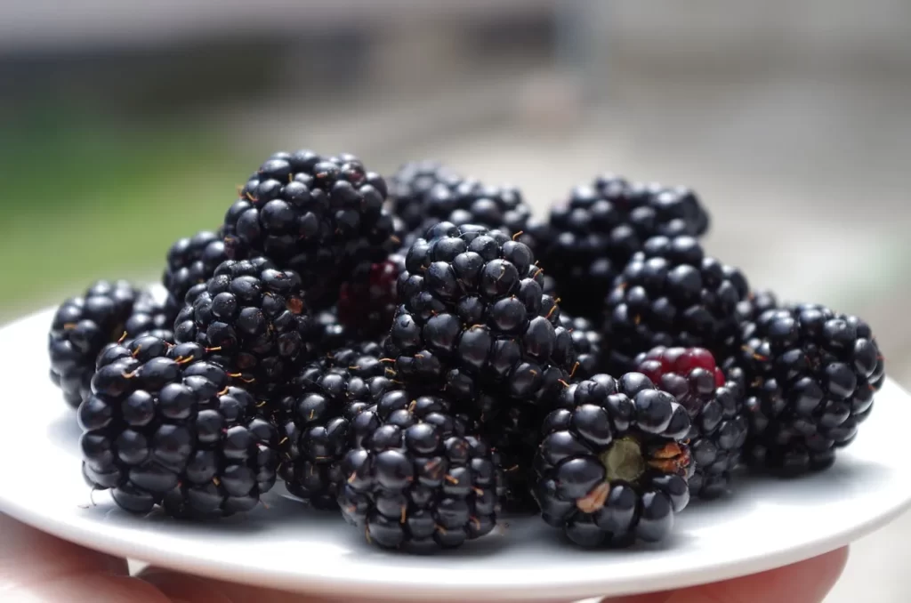 Blackberries facts
