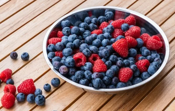 Fun Facts About Blueberries