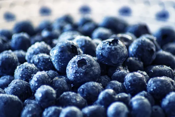 interesting facts about blueberries