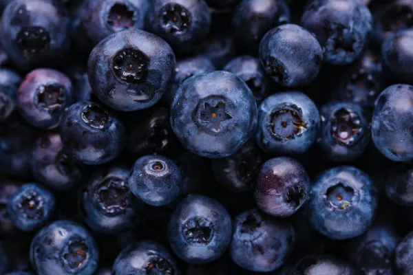 blueberries facts