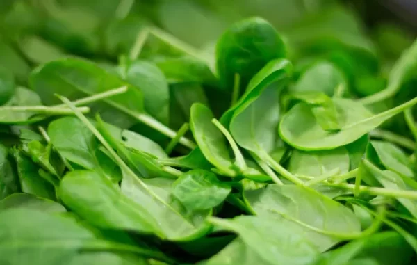 Interesting facts about spinach