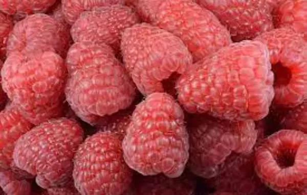 Fun Facts About Raspberries