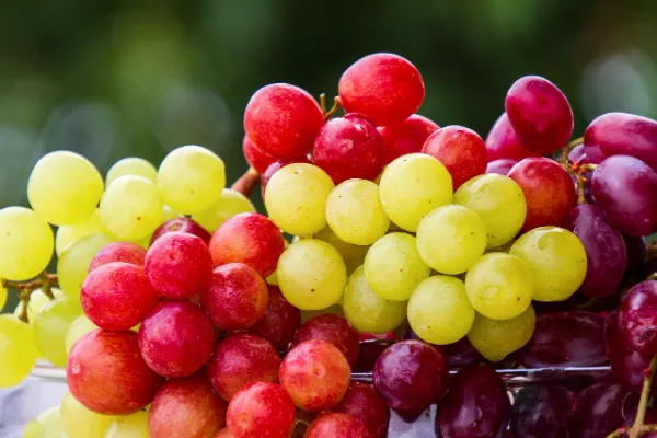 facts about grapes