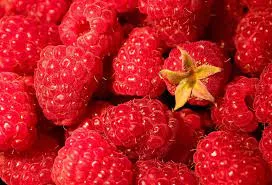 Facts About Raspberries