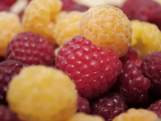 Fun Facts About Berries