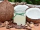 Fun Facts About Coconuts