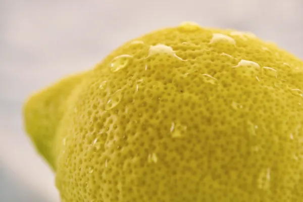 lemons facts
