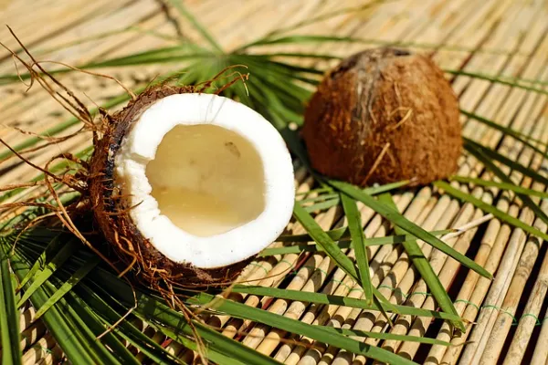 Facts About Coconuts