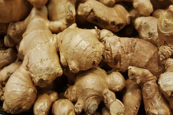 Facts About Ginger