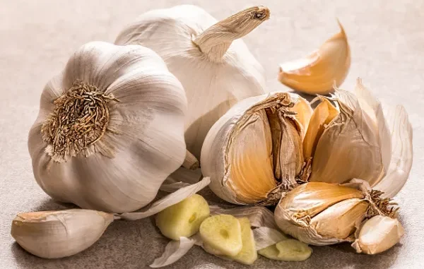 Fun Facts About Garlic