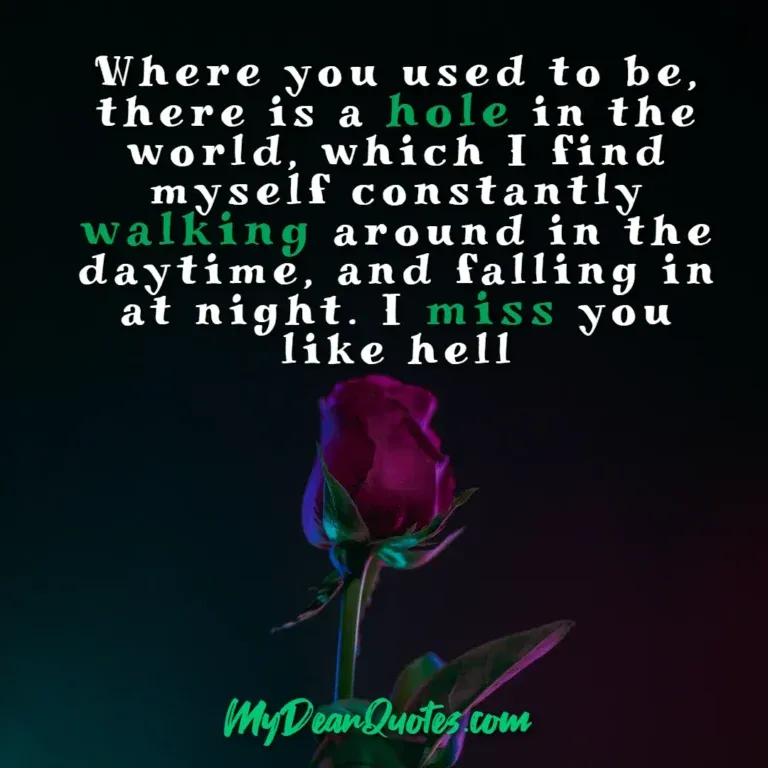 Long distance love quote: Where you used to be, there is a hole in the world, which I find myself constantly walking around in the daytime, and falling in at night. I miss you like hell, featuring a single rose.