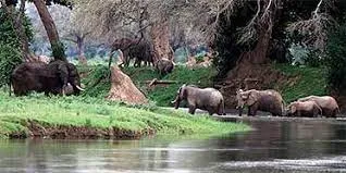 Zimbabwe Wildlife 