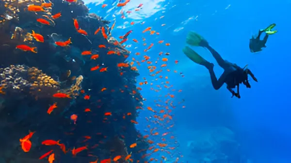 Scuba diving and snorkeling on coral reefs