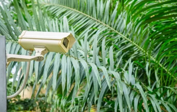 A security camera, typically used for surveillance, is mounted outdoors against a backdrop of lush green foliage.