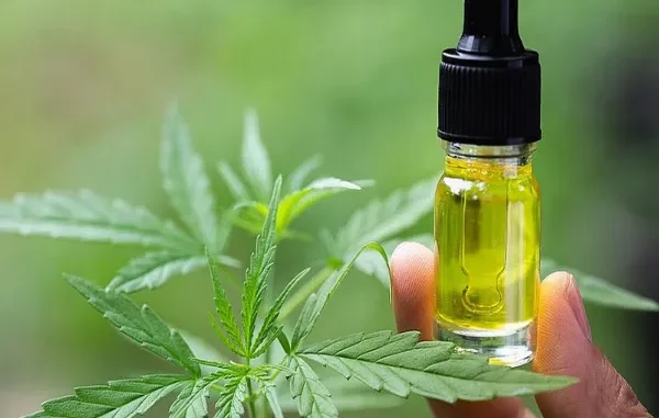 How Long Does CBD Oil Take to Work