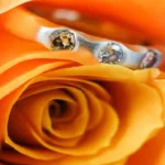Three-stone engagement ring with round cut diamonds nestled in the petals of a vibrant orange rose.