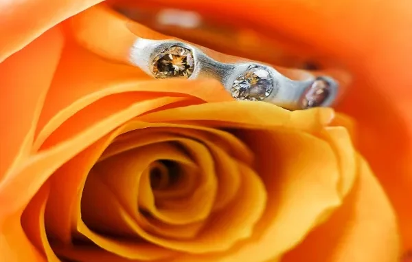 The Ultimate Guide to Choosing the Perfect Ring Shape for Your Proposal Three-stone engagement ring with round cut diamonds nestled in the petals of a vibrant orange rose.