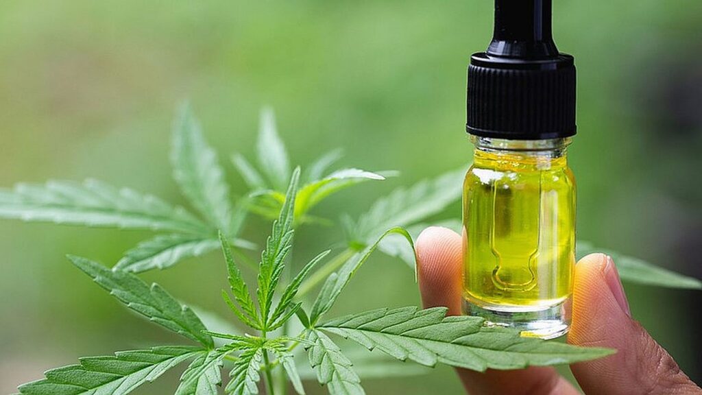 CBD Oil