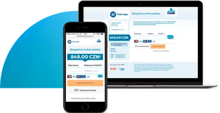 payment gateway