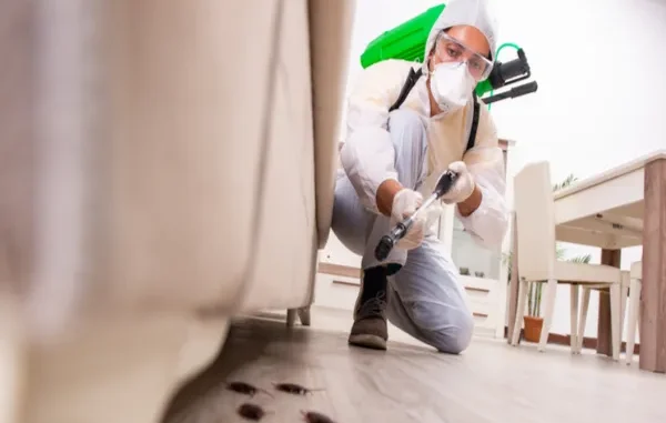 What to Look For In a Reliable Pest Control Company
