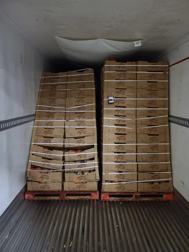 3PL Service for Supply Chain