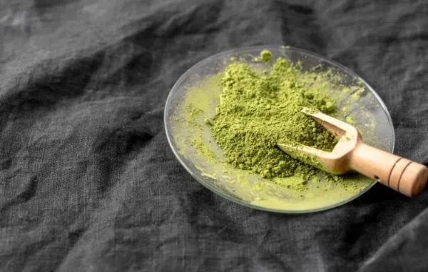 Green Kratom Powder on Glass Dish Green kratom powder on a glass dish with a small wooden scoop on a dark grey fabric background.