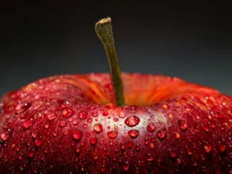 A close-up of a vibrant red apple covered in water droplets, symbolizing freshness, hydration, and healthy nutrition.