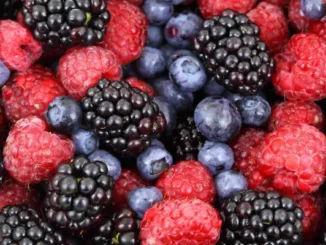 A close-up of vibrant red raspberries, deep purple blackberries, and blue blueberries, symbolizing healthy, antioxidant-rich nutrition.