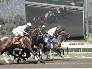 Three jockeys on horseback race neck-and-neck on a dirt track, with a large screen in the background showing another horse race in progress.