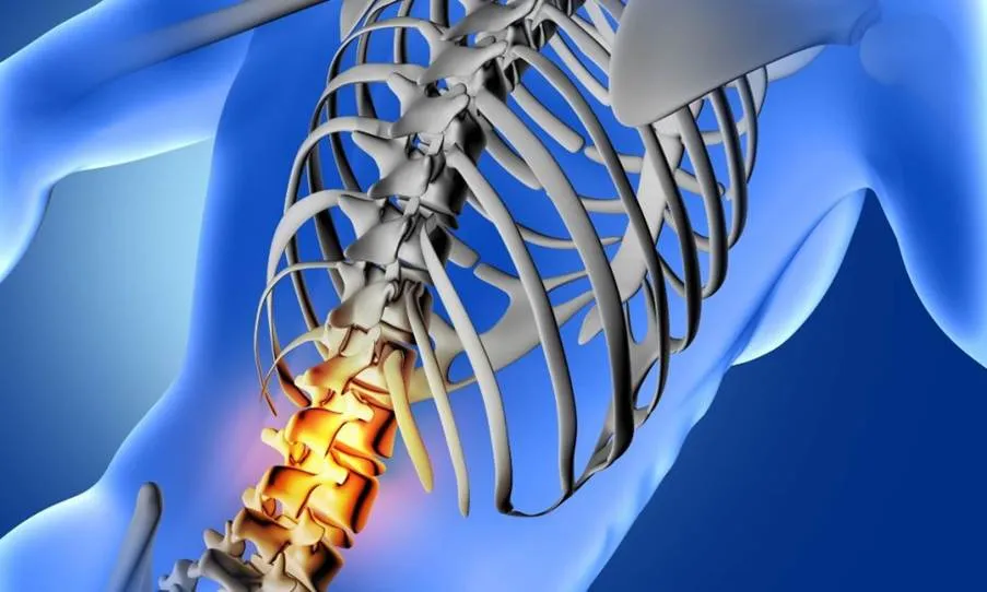 A glowing representation of the human spine with a highlighted area indicating damage, symbolizing the vulnerability of the spinal cord in injury claims.