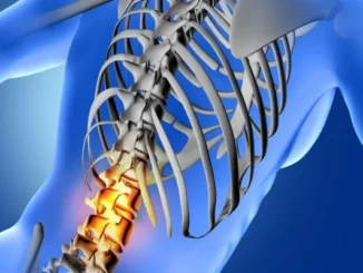 A digital illustration of a human spine and ribcage, with the lower spinal vertebrae highlighted in bright orange, indicating a spinal injury.