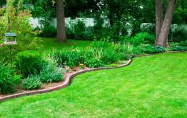 Why Choosing Expert Pest Control Saves Time and Stress