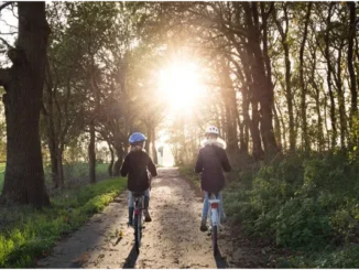 Two young people wearing helmets are riding their bicycles on a sun-dappled, tree-lined path. The sun is shining brightly in the distance, casting long shadows.